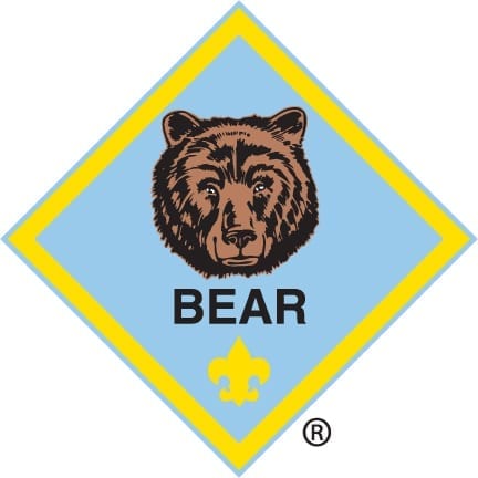 Bear logocs